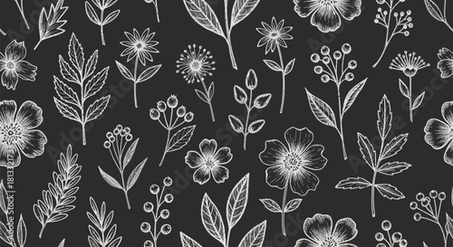 Floral vector pattern background with flowers leaves and plants on dark chalkboard texture 100