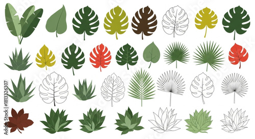 Vibrant tropical foliage set for summer designs, including monstera and palm leaves in varied colors and line art for creative projects and botanical themes
