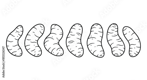 Hand drawn illustration of peeled mandarin segments isolated on white background