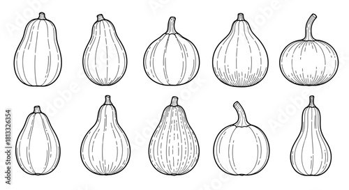 Collection of different types of pumpkins isolated on white background