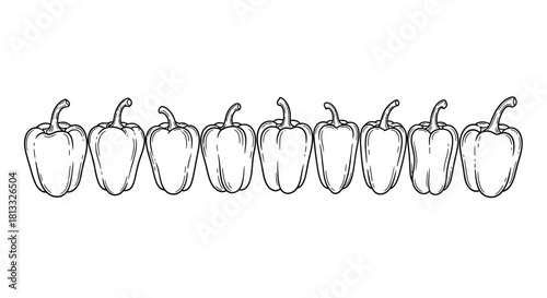 Row of bell peppers isolated on white background in hand drawn style