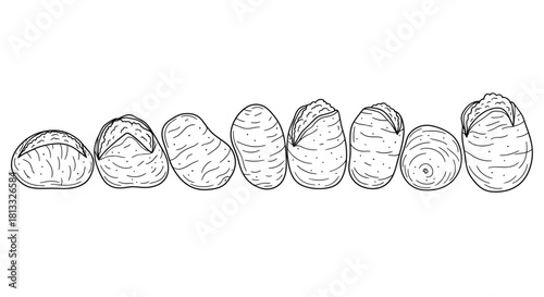 Row of raw peanut isolated on white background, nut food ingredient