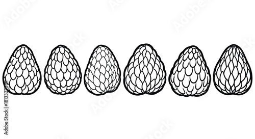 Hand drawn vector illustration of sugar apples isolated on white background