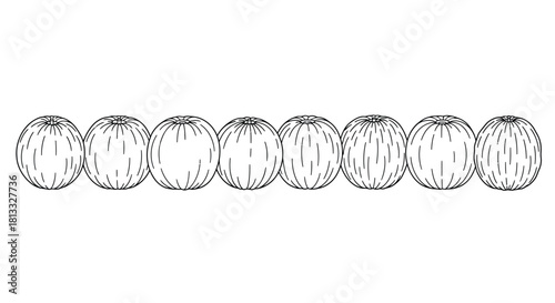 Line of melon outlines isolated on white background