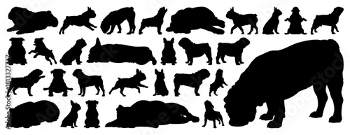 Bulldog Silhouettes Showcasing Various Poses Set, Transparent Background
