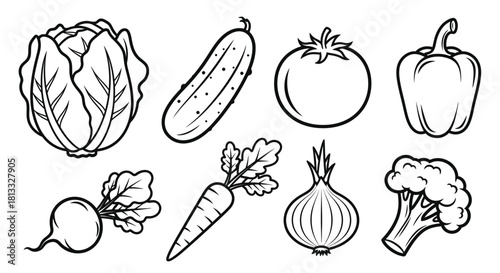 Collection of fresh vegetables in black and white isolated on white background