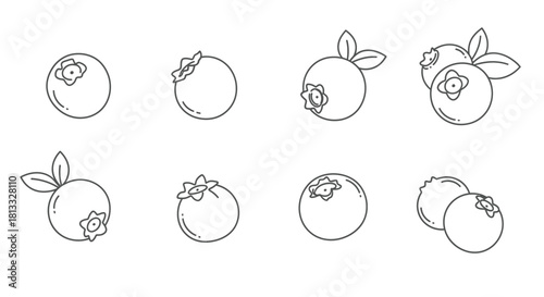 Set of eight blueberry icons isolated on white background in outline style