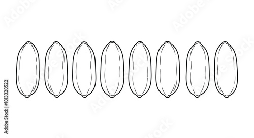 Row of peanuts isolated on white background, a healthy and delicious snack