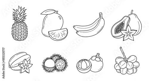 Hand drawn sketch of tropical fruits isolated on white background, vector set
