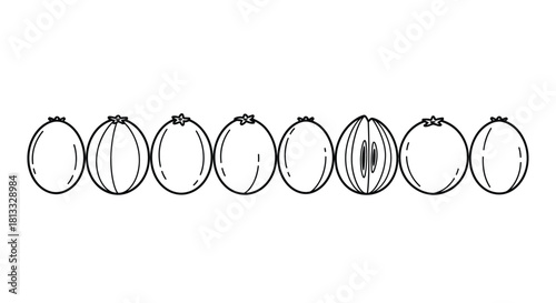 Collection of whole gooseberries isolated on white background in line art style