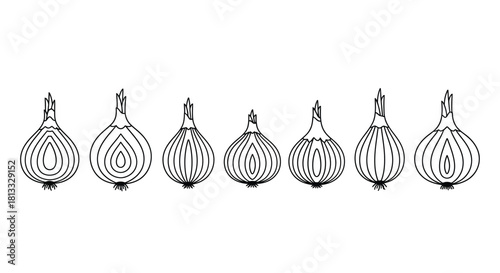 Hand drawn sketch of onion isolated on white background in a row