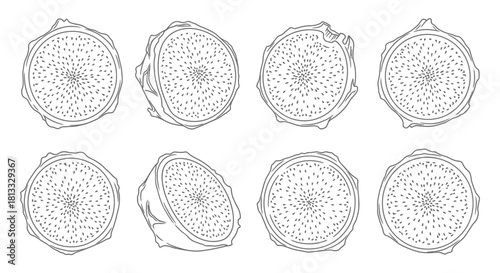 Hand drawn dragon fruit slices isolated on white background in different angles