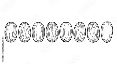 Coffee beans in various angles isolated on white background, sketch style
