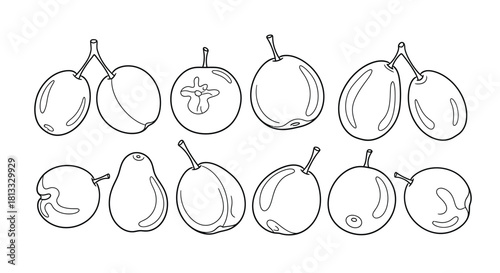 Hand drawn fruit set isolated on white background, vector illustration