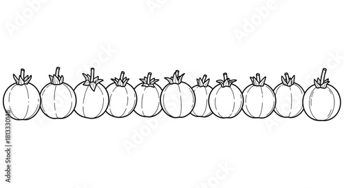 Ten tomatoes in a row, black and white drawing isolated on white background