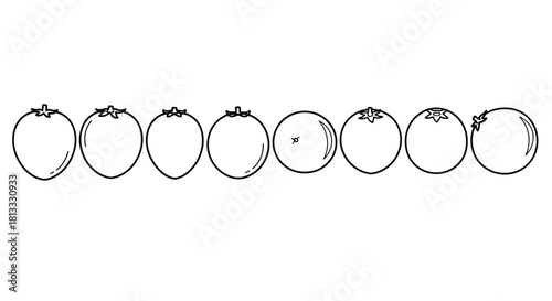 Collection of whole persimmons isolated on white background in line art style