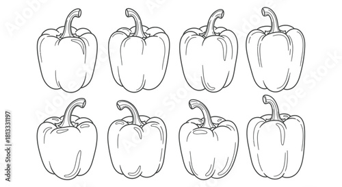 Eight bell peppers isolated on white background in a row, hand drawn style