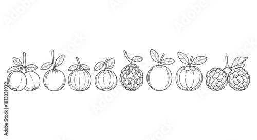 Collection of different hand drawn fruits isolated on white background