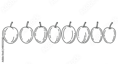 Hand drawn plum illustration, isolated on white background