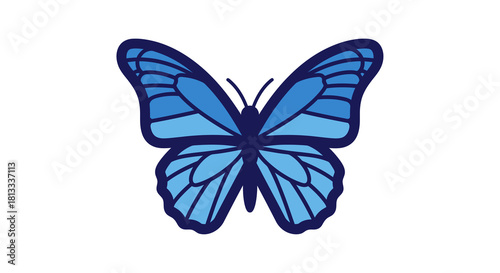 butterfly isolated on white background