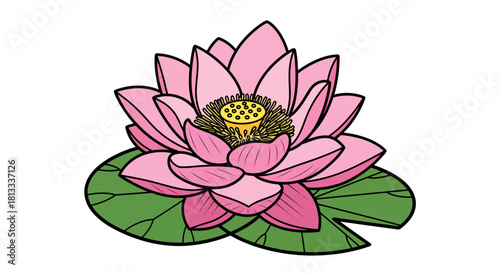 Pink lotus flower vector illustration with blooming petals in a natural pond setting