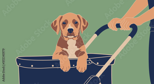 Vector illustration of a brown Labrador puppy with a stick and a bottle, isolated funny pet dog