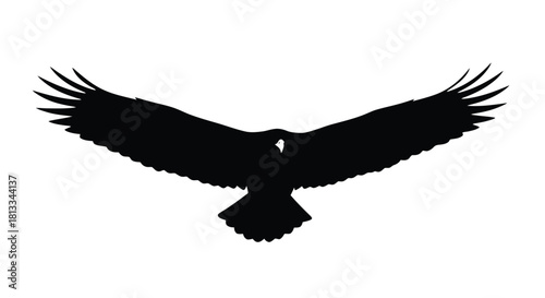 Abstract geometric shapes and lines in a dynamic composition with a striking silhouette element rendered in a vibrant cmyk color palette and grayscale