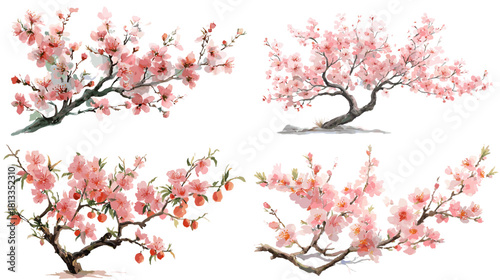 A delicate illustration set of cherry blossom branches with soft pink flowers and elegant tree shapes, painted in a refined natural style. Ideal for spring themes, floral art, decor, and nature design