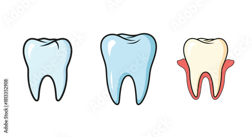 Illustrative depiction of healthy and decaying teeth showcasing dental health stages