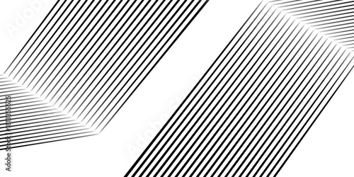 White black color. Linear background. Design elements. Poligonal lines. Protective layer for banknotes, certificates template. Vector Vector lines of different thicknesses from thin to thick EPS 10