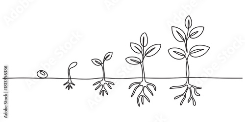 Continuous line art drawing of plant growth stages, from seed germination to sprouting seedling with roots and leaves, growing process.