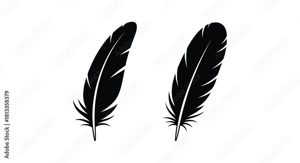 Fototapeta premium Two black feathers isolated on a white background simple graphic design