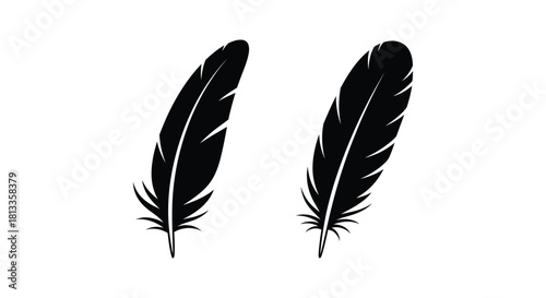 Two black feathers isolated on a white background simple graphic design