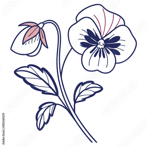 Outline Drawing of a Pansy Flower with Pink and Red Accents floral bloom
