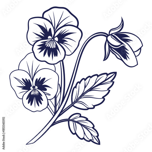 Stylized Outline Illustration of Three Pansy Flowers on a Stem floral bloom