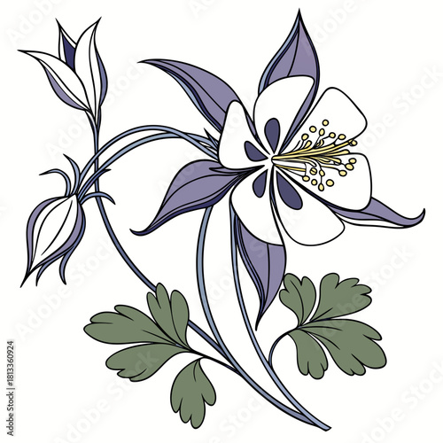 Purple Columbine Flower Illustration with Buds and Leaves icon multi