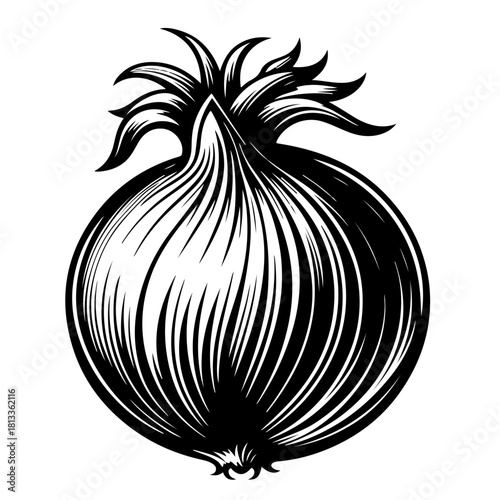 Illustration of a single onion with detailed lines and a distinctive top in black and white style