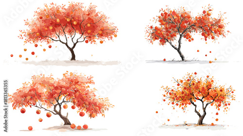 A beautiful illustration set of autumn trees with vibrant orange leaves and falling round fruits, showing rich seasonal colors and natural detail. Perfect for nature themes, landscape art, and decorat