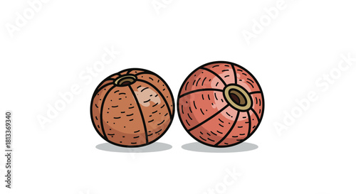 Two colorful cartoon balls with segmented surfaces and a central opening on a white background.
