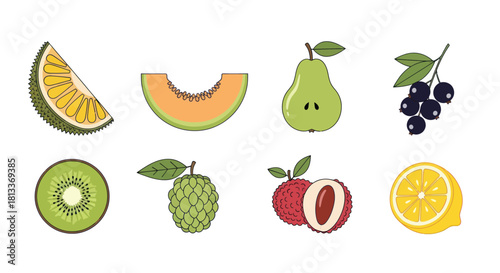 Assorted colorful fruit slices and whole fruits illustrated on white background