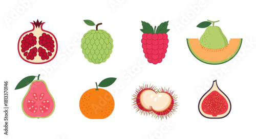 Assorted colorful fruits illustration isolated on white background vector