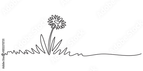 Minimalist single continuous line art drawing of a delicate daisy flower blossoming in a patch of fresh green grass, vector graphic.