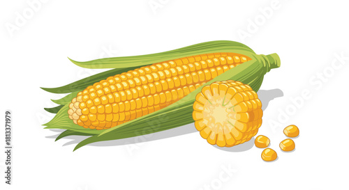 A vibrant illustration of a fresh ear of corn with its husks peeled back, alongside a sliced portion and scattered kernels on a white background.