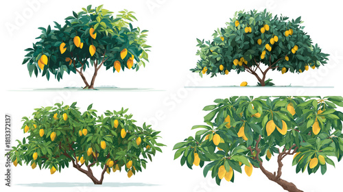 A detailed illustration set of lush mango trees full of ripe yellow fruits and vibrant green leaves. Perfect for botanical themes, tropical agriculture, garden design, and nature artwork.