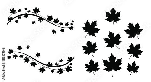 Black and white illustration of maple leaves and winding vines design