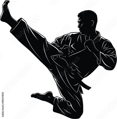 Martial arts kick Vector
