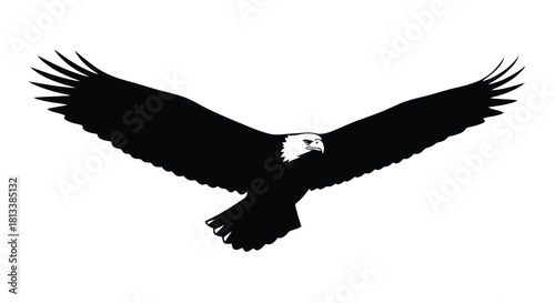 Abstract geometric silhouette design with vibrant color accents and typographic elements silhouette