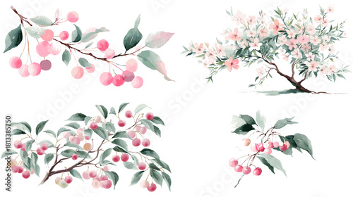 A delicate watercolor illustration of pink cherry branches with soft blossoms and lush leaves. Ideal for floral artwork, spring themes, nature decor, greeting cards, and botanical designs.