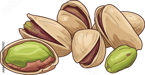 Pistachios nuts vector cartoon illustration in white background
