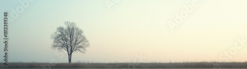 Lone tree standing in the middle of a lake